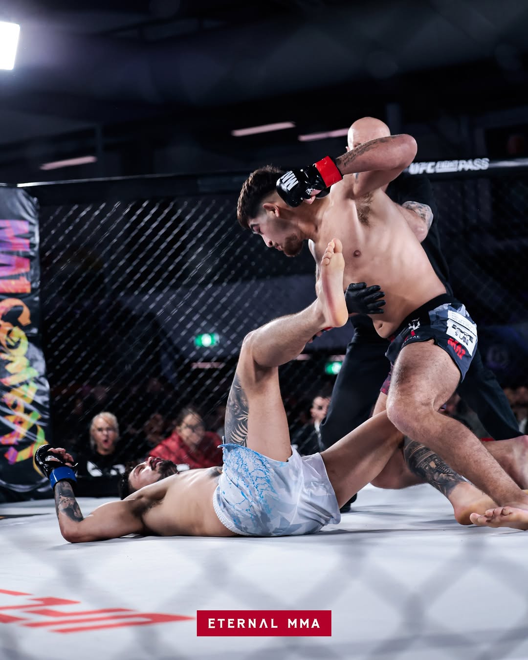 Kourosh Arvan lands ground-and-pound