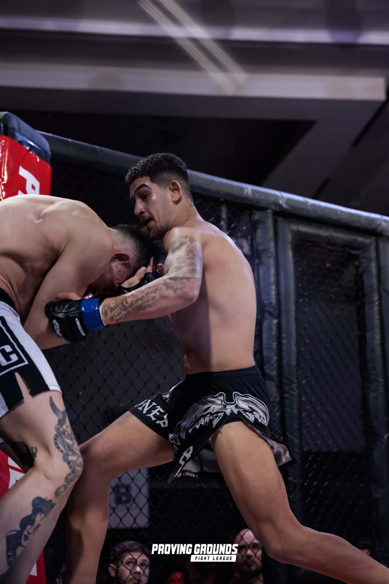 Fight night 2