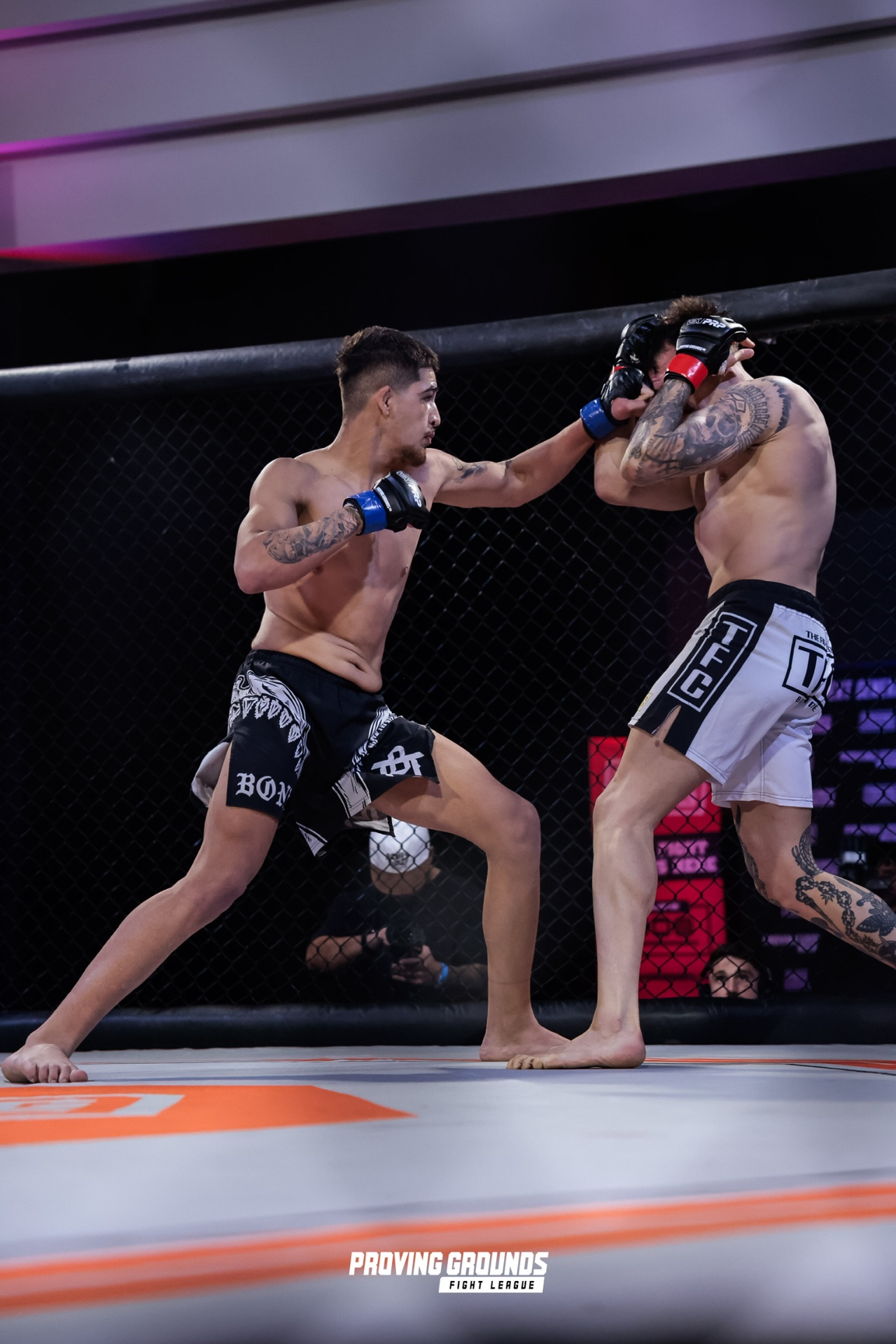 Fight night 1