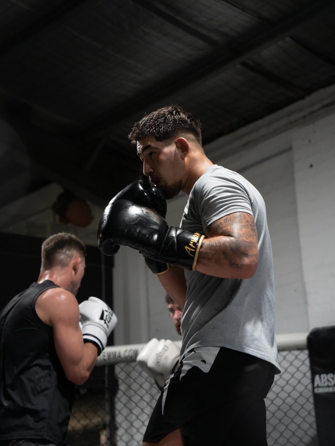 Kourosh Arvan, hands up in sparring
